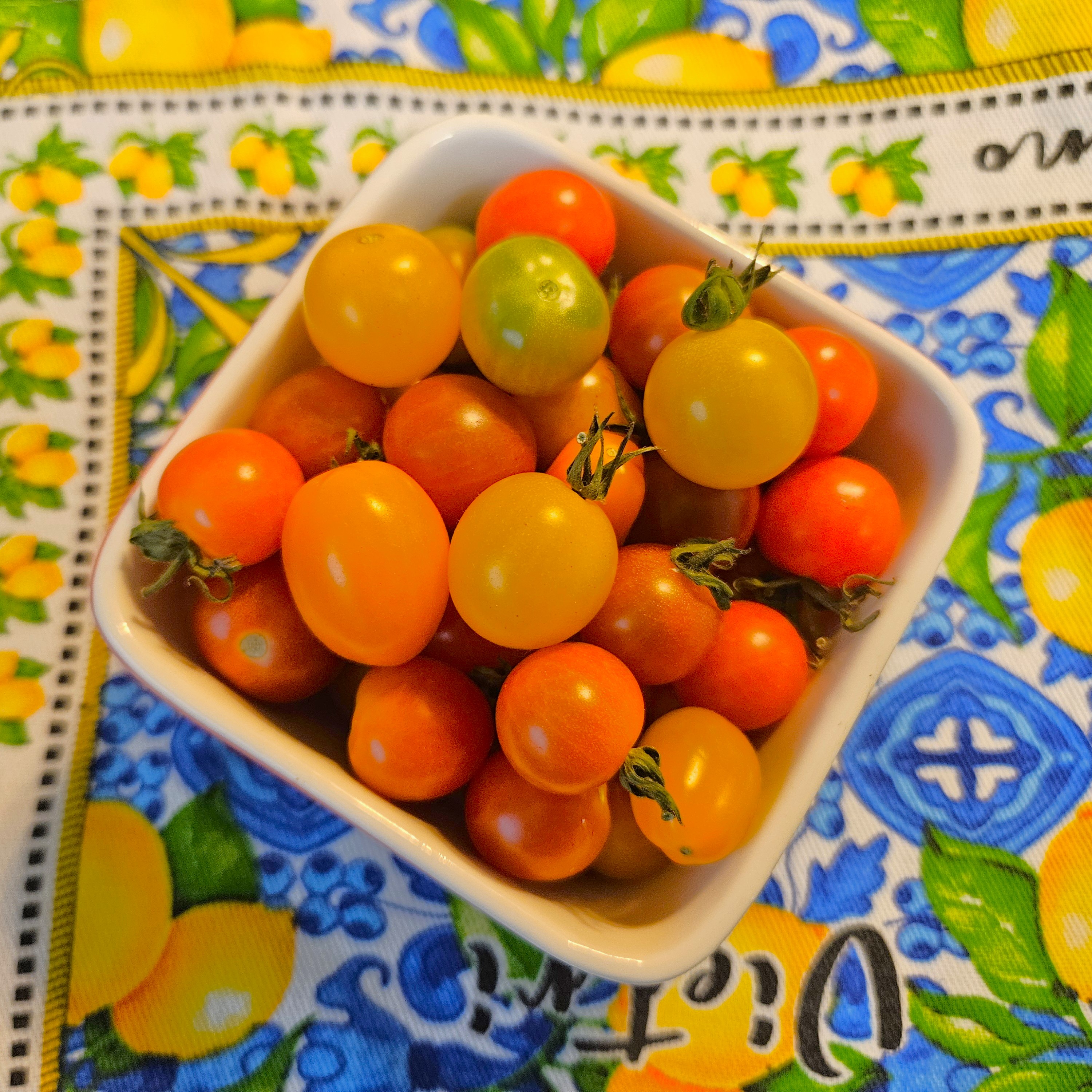 Mixed home grown Cherry Tomatoes