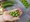 Garden fresh Peas