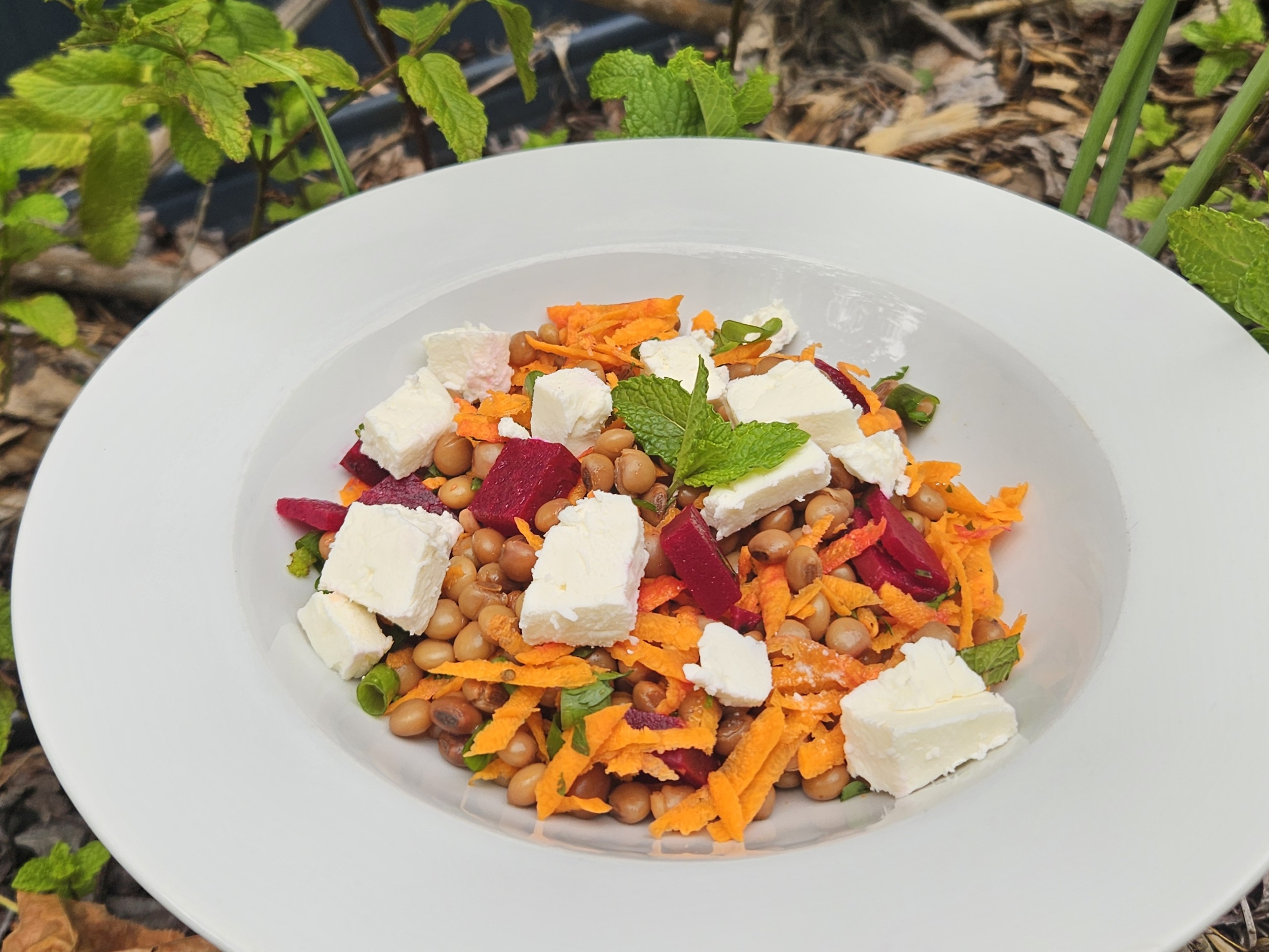 Minty Lentil and Carrot Salad