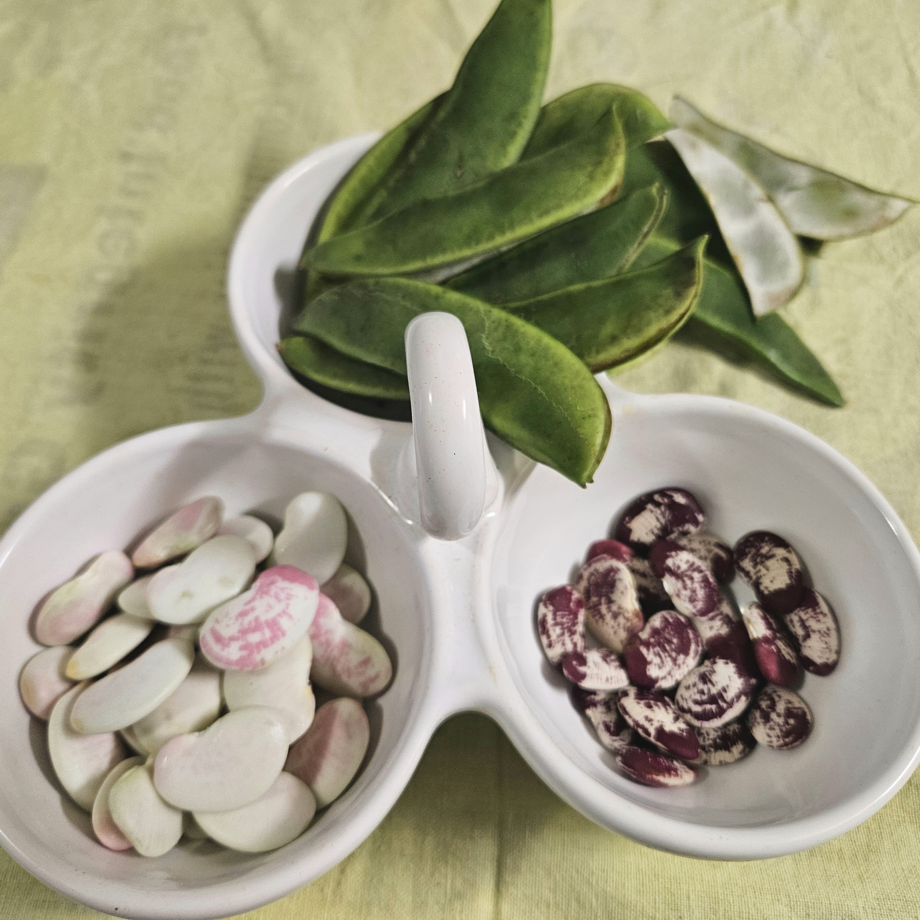Madagascar, white, lima beans